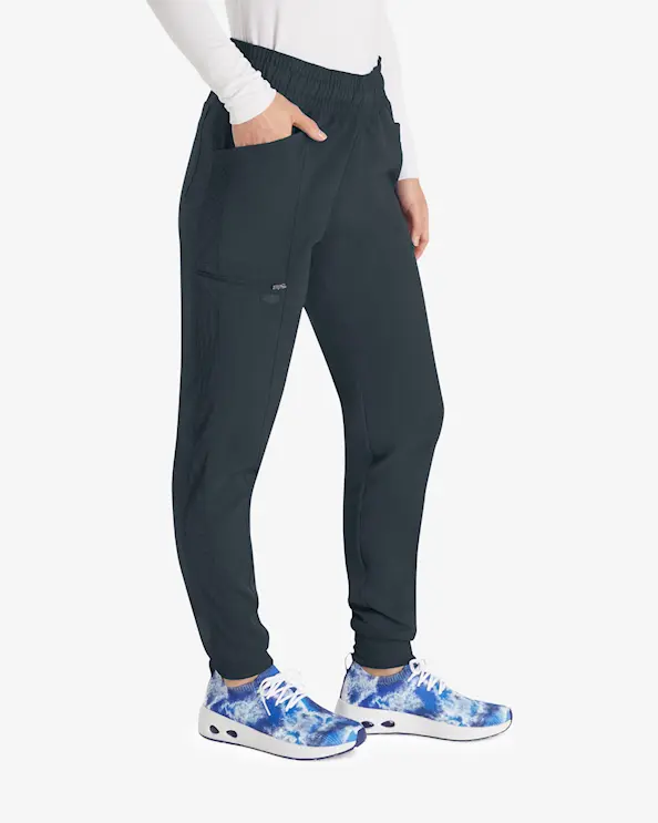 Dickies Balance-bukse DKE155 Graphite