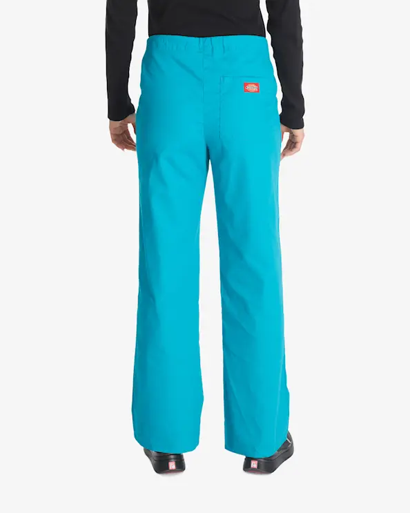 Dickies Signature-bukser DKE83006 Turkis