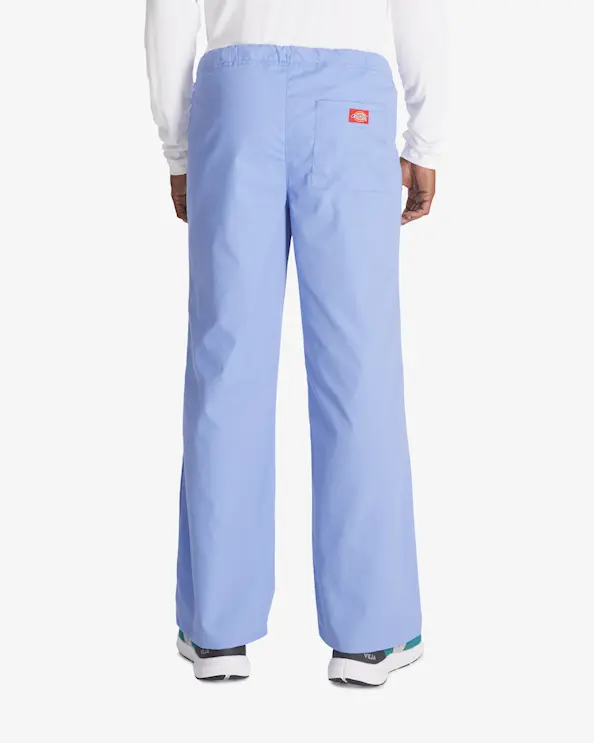 Dickies Signature-bukser DKE83006 Lyseblå