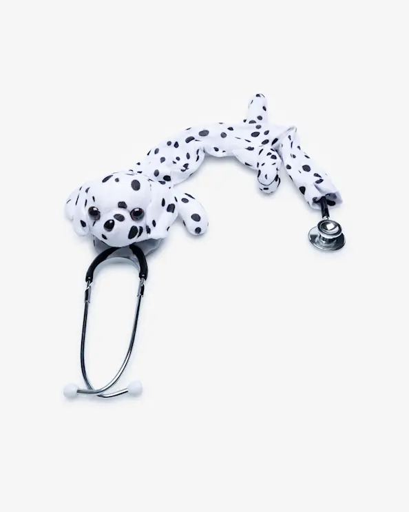 Stetoskooppisuoja, dalmatialainen