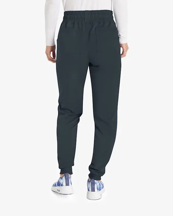 Dickies Balance-bukse DKE155 Graphite