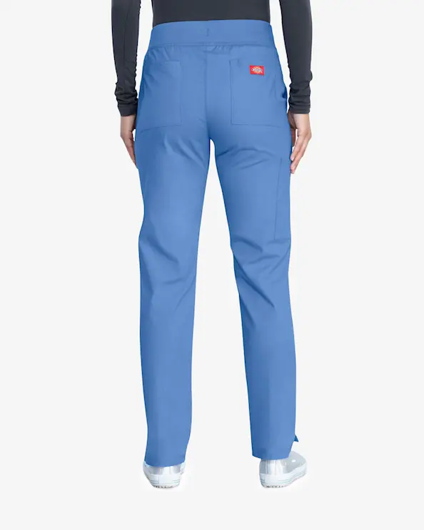Dickies Signature-bukser DKE125 Lyseblå