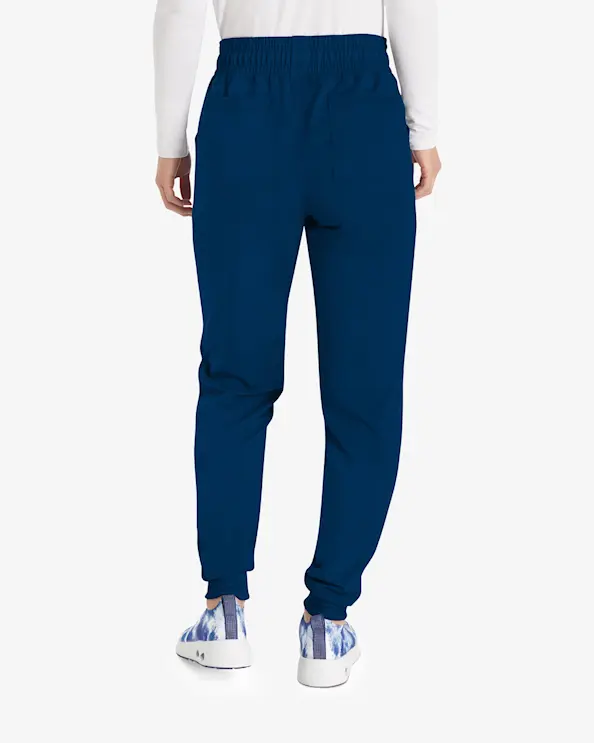 Dickies Balance-bukser DKE155 Marin