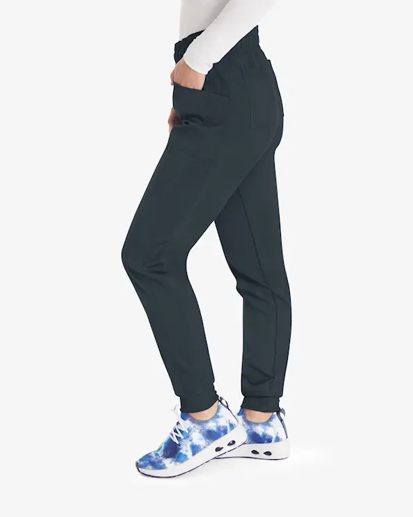 Dickies Balance-bukse DKE155 Graphite