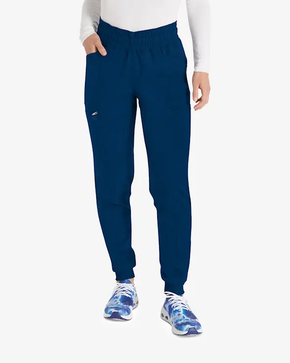 Dickies Balance-bukser DKE155 Marin