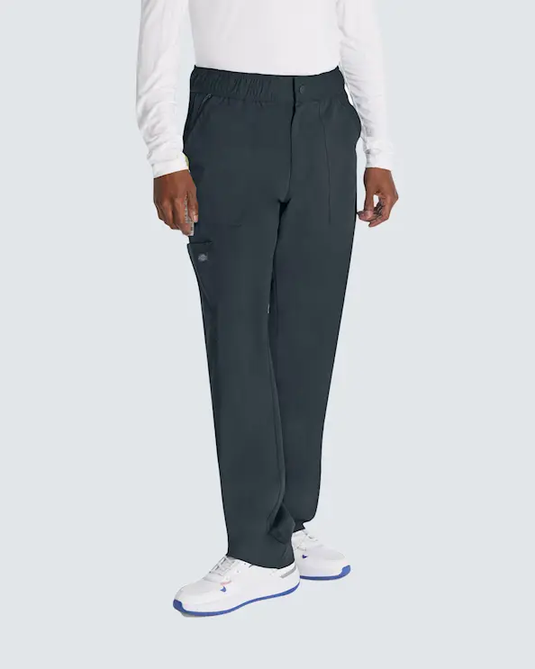 Dickies Balance Bukser DKE220 Grafit