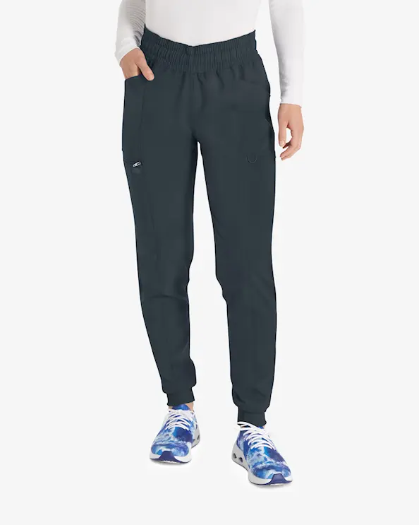 Dickies Balance-bukse DKE155 Graphite